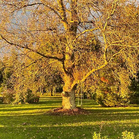 Manoir De Famille Beausoleil Vila Allonnes (Maine-et-Loire)