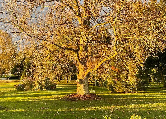 Manoir De Famille Beausoleil וילה Allonnes (Maine-et-Loire)